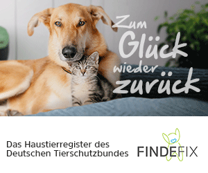 FINDEFIX Banner - Das Haustierregister des Deutschen Tierschutzbundes