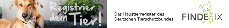 FINDEFIX Banner - Das Haustierregister des Deutschen Tierschutzbundes